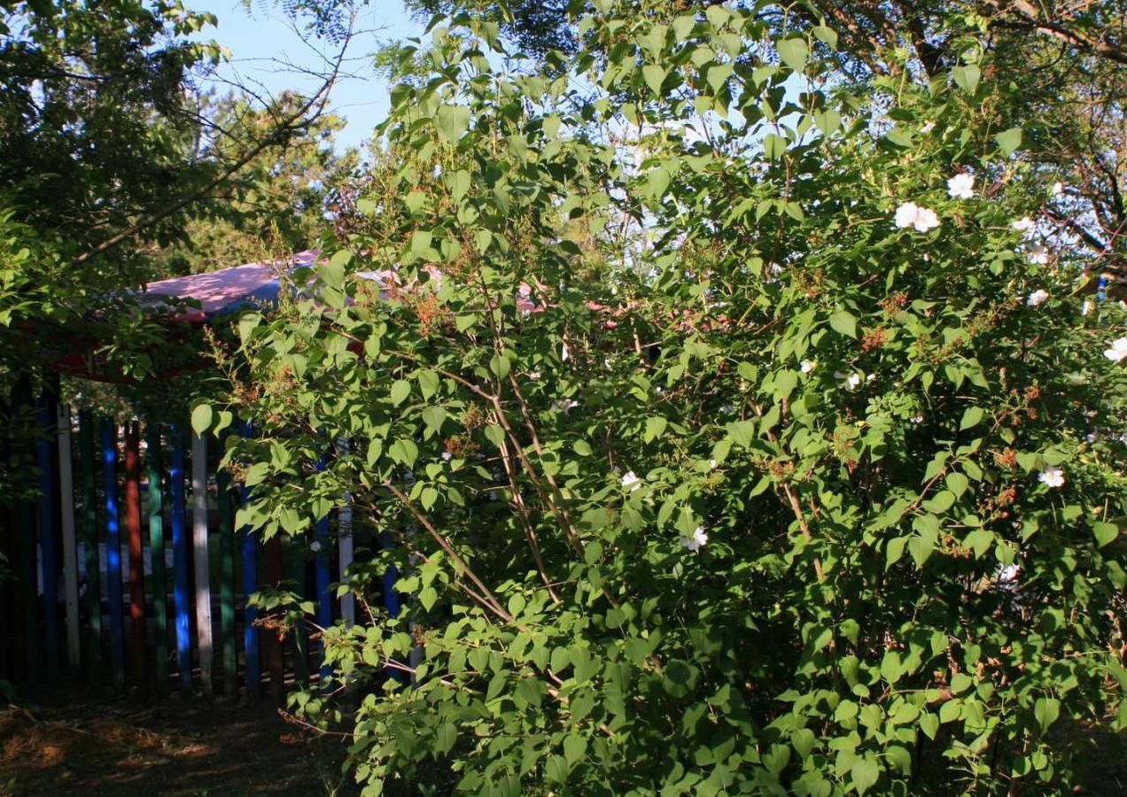 Neptun-2 Otel Koblevo Dış mekan fotoğraf