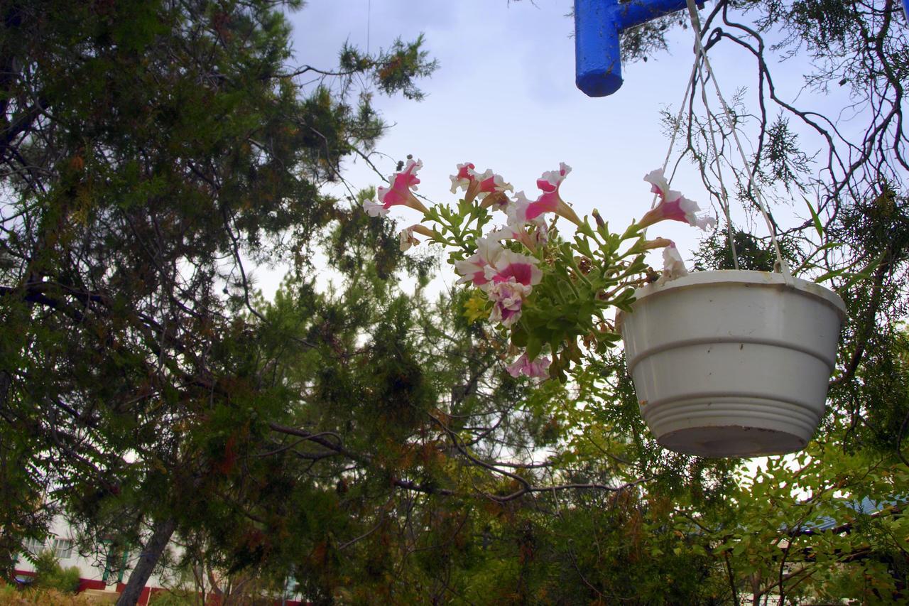Neptun-2 Otel Koblevo Dış mekan fotoğraf